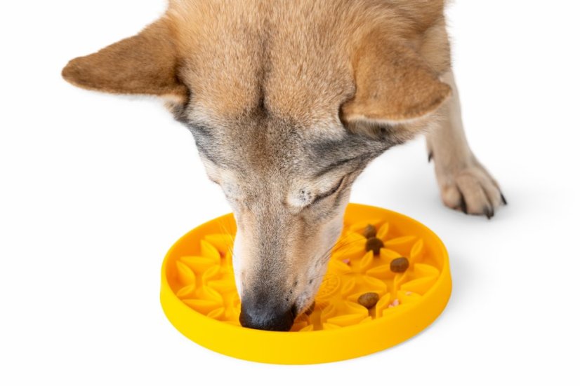 Protihltací miska a lízací podložka 2v1 – FLOWER – Oranžová