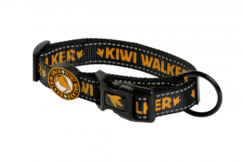 Obojek - M - Oranžová