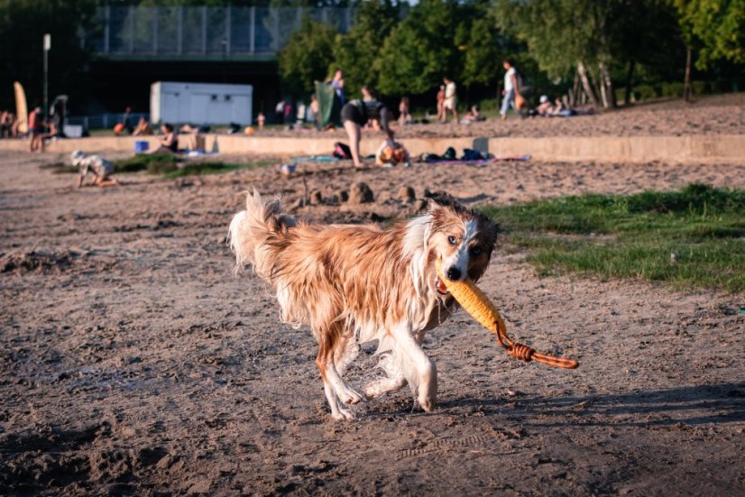Létající a plovací zeppelin z TPR pěny - MINI  - Růžová