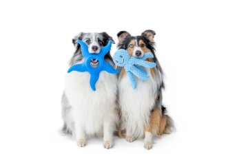 HRAČKY - Veľkosť - M