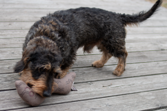 Plyšová hračka z recyklovaných materiálů Červ Earth hnědá