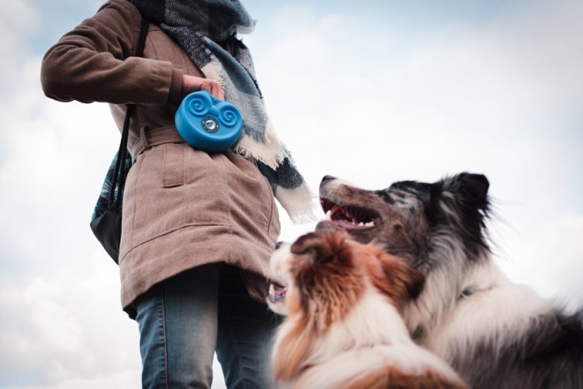 Pamlskovník - Růžová