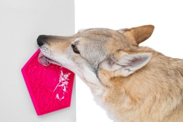 LÍZACÍ PODLOŽKY - Barva - Oranžová