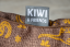 Kiwi & Friends Sofa bed - Zelená - XL