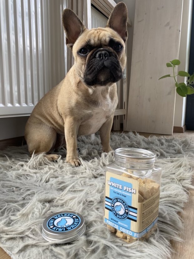 Mrazem sušený pamlsek tuňák 105 g