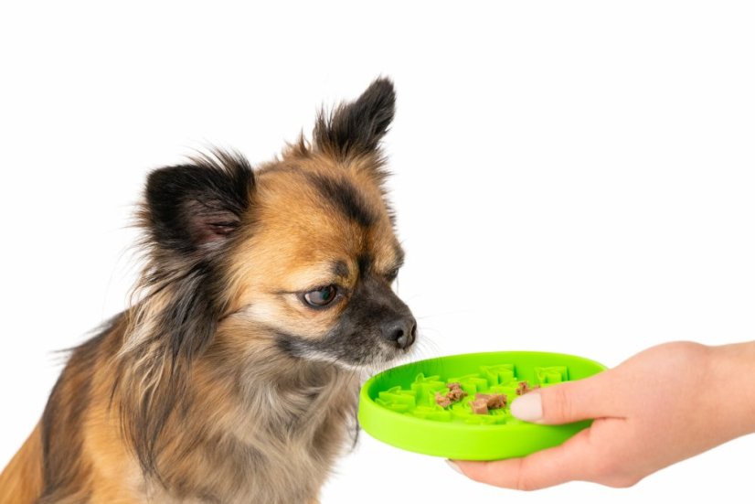Protihltacia miska a lízacia podložka 2v1 - PAW MINI - Zelená