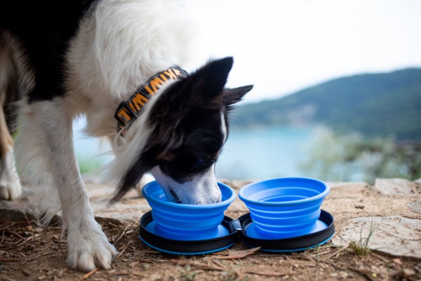 Cestovní miska - Oranžová