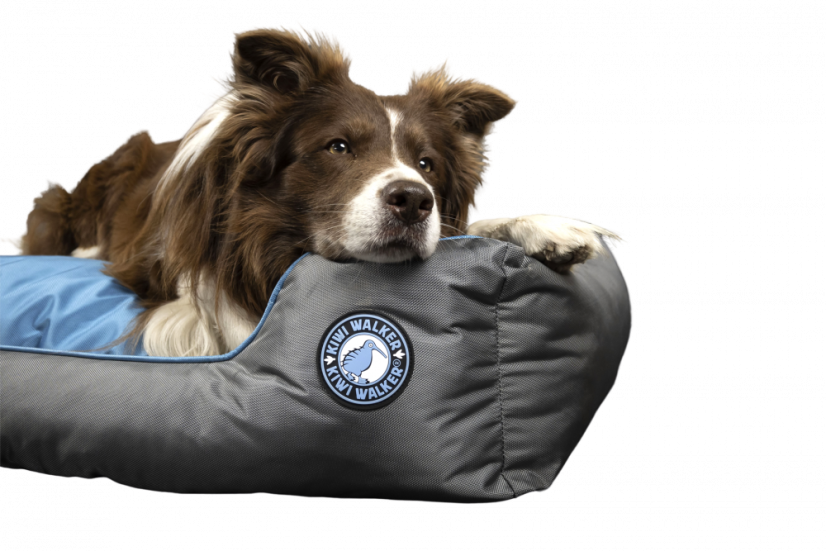 Pelech z ortopedické pěny - XXL - Zelená/Šedá