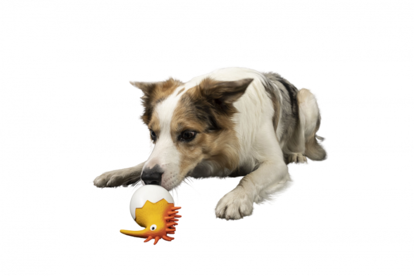 Latexová pískací hračka Kiwi Baby oranžová