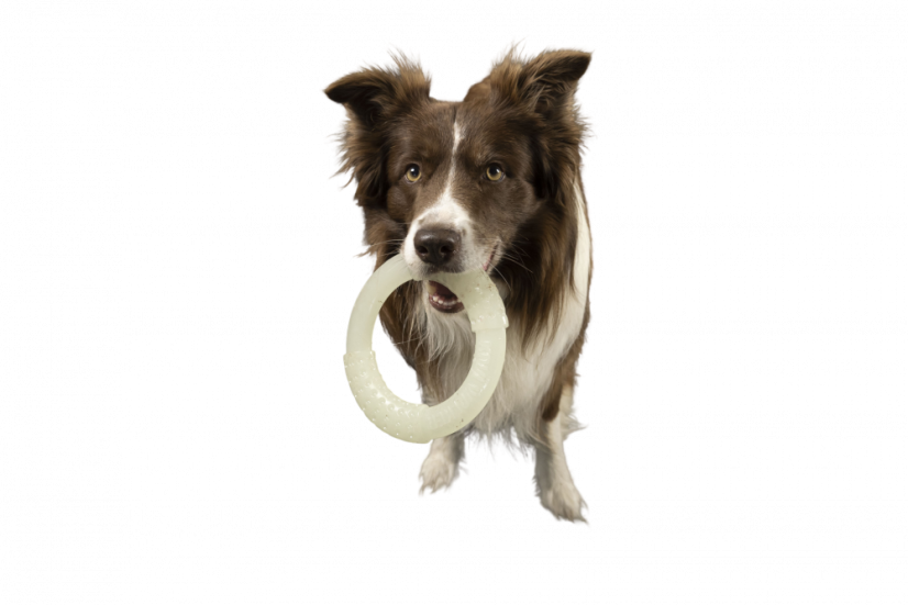 Svítící, létající a plovací kruh z gumy - MINI  - Mléčná - svítící