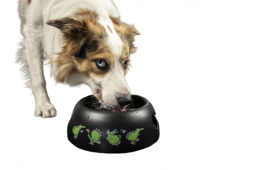 Miska BLACK BOWL - M - Modrá