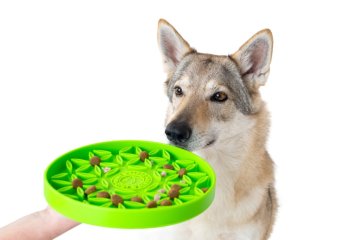 PROTIHLTACÍ MISKY - Skladem