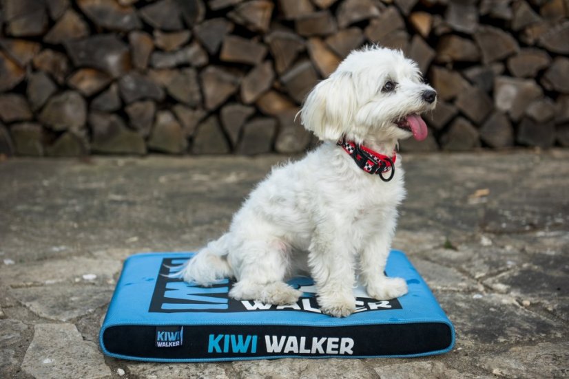 Pelech matrace ortopedická - XXL - Zelená/Černá