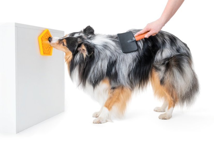 Lízací podložka – PENTA MINI – Oranžová