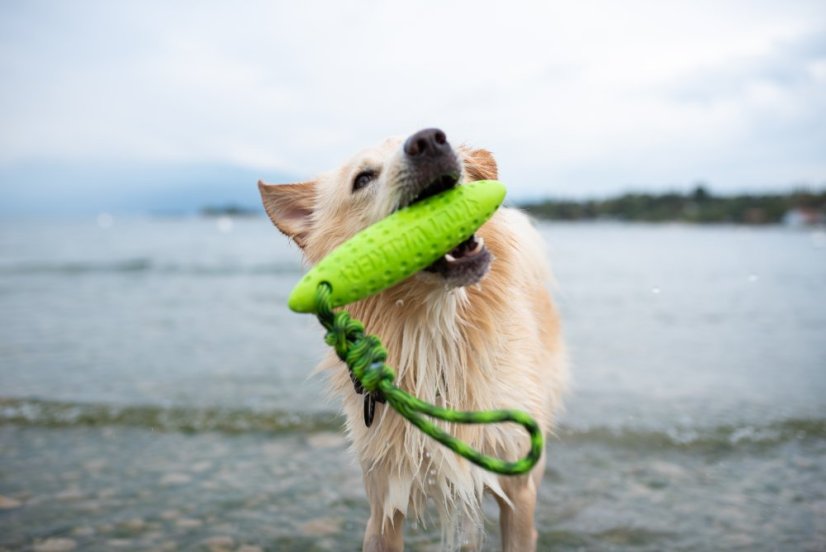 Létající a plovací zeppelin z TPR pěny - MINI  - Zelená