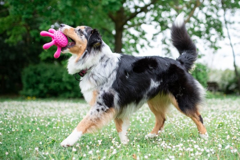 Létající a plovací chobotnice z TPR pěny - MINI  - Růžová