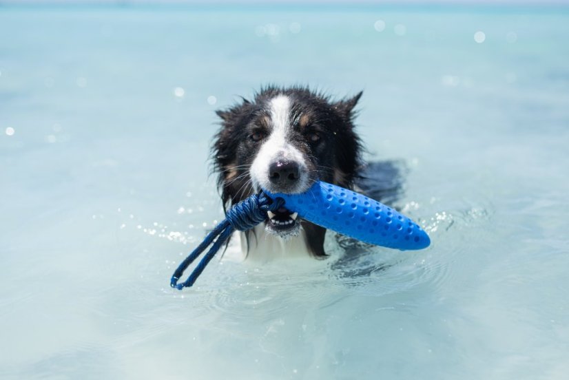 Létající a plovací zeppelin z TPR pěny - MINI  - Modrá