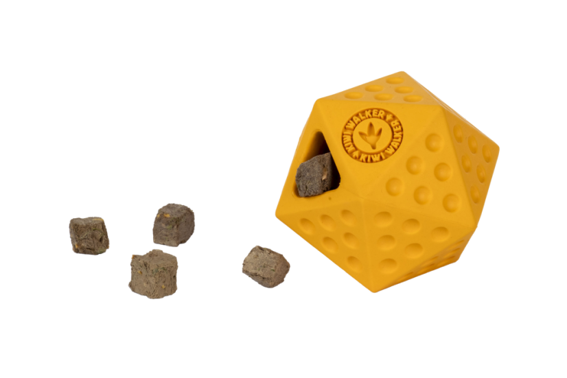 Gumová hračka ICOSABALL s dírou na pamlsky -MAXI- oranžová