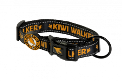 Obojek - M - Oranžová