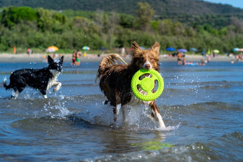 Plovací frisbee z TPR pěny MAXI  modrá 21,5 cm