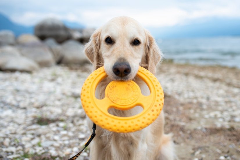 Plovací frisbee z TPR pěny MINI zelená 16,5 cm
