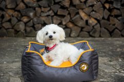 Pelech z ortopedické pěny - M - Oranžová/Šedá