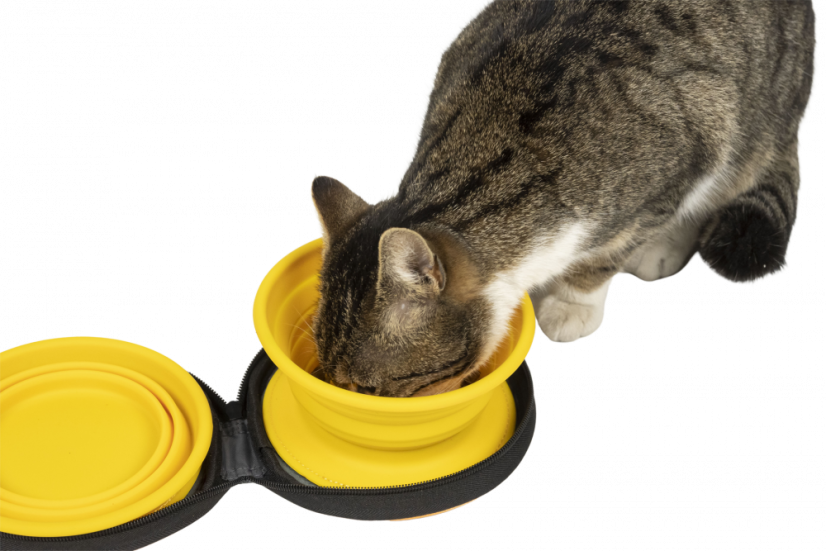 Cestovní miska - Oranžová