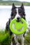 Plovací frisbee z TPR pěny MINI zelená 16,5 cm