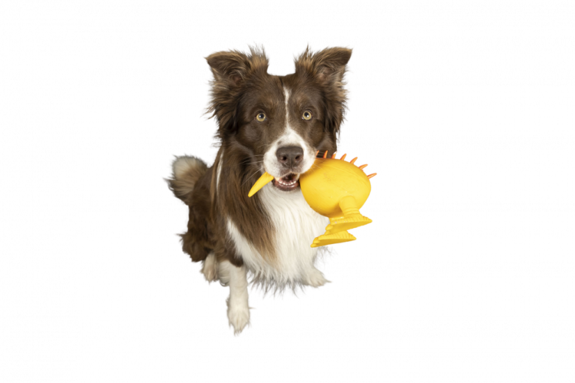 Latexová pískací hračka Formula červená