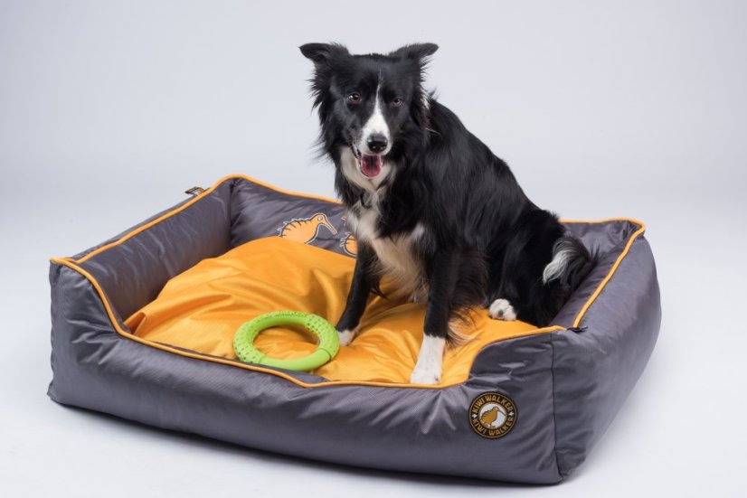 Pelech z ortopedické pěny - L - Modrá/Šedá