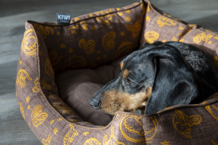 Kiwi & Friends Sofa bed - Zelená - XL