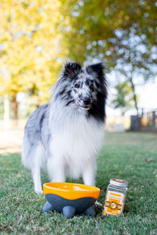 Miska UFO - M - Zelená