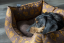 Kiwi & Friends Sofa bed - Zelená - XL