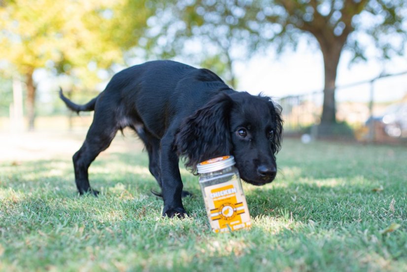 Mrazem sušený pamlsek kuřecí játra 115 g