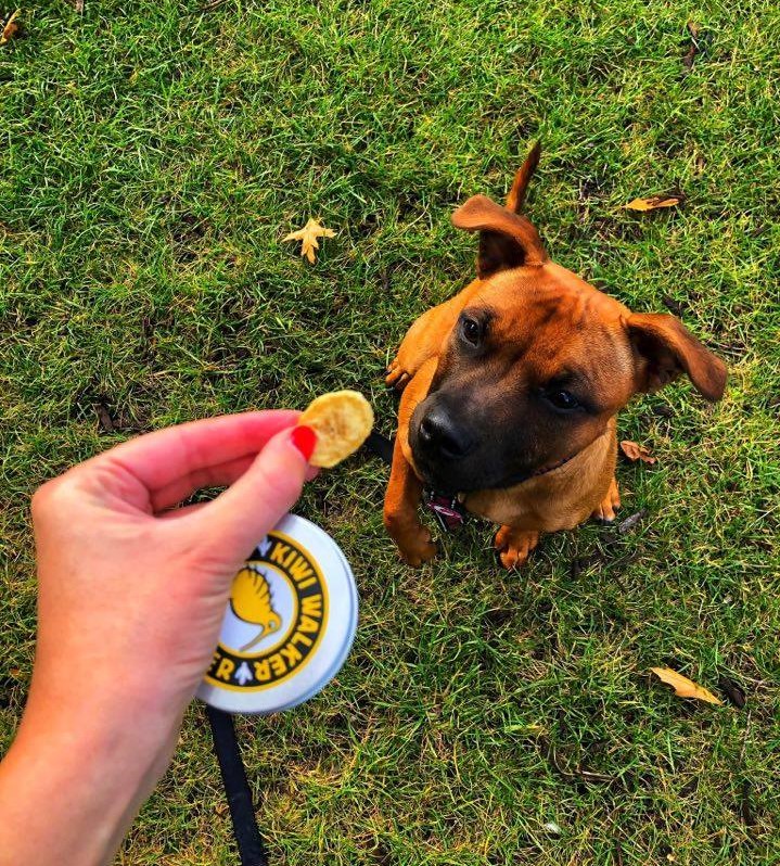 Mrazem sušený pamlsek banán 70 g