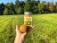 Mrazem sušené pamlsky kiwi 40 g