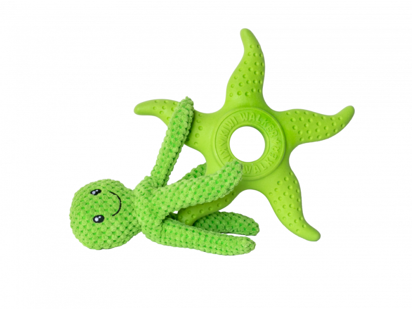 OCTOPUS & STARFISH z TPR pěny a plyše - Zelená