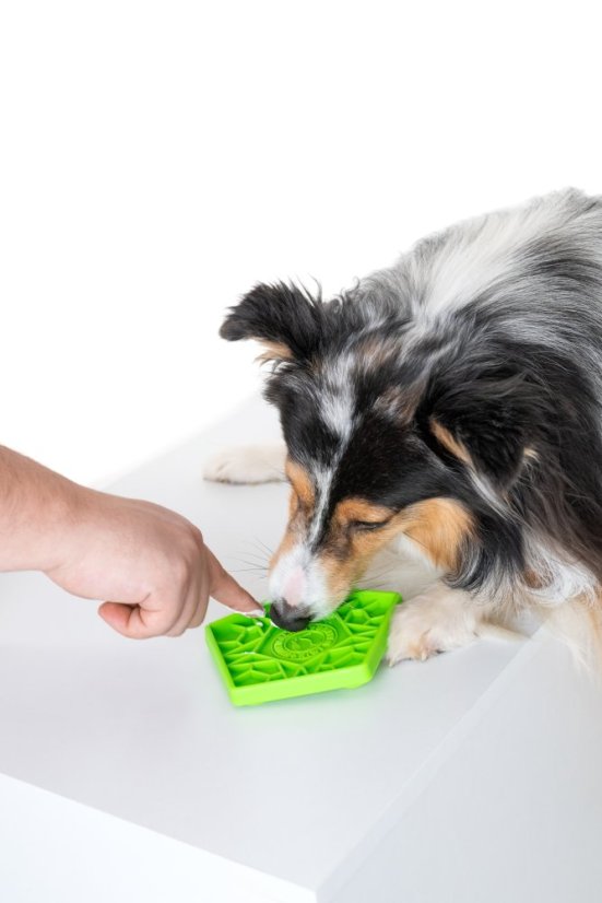 Lízací podložka – PENTA MINI – Zelená