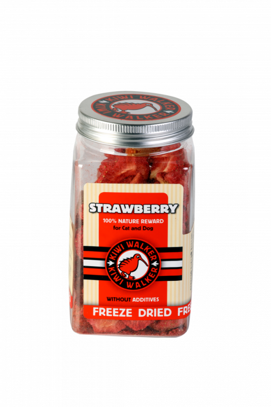 Mrazem sušený pamlsek jahoda 25 g