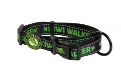 Obojek - M - Zelená