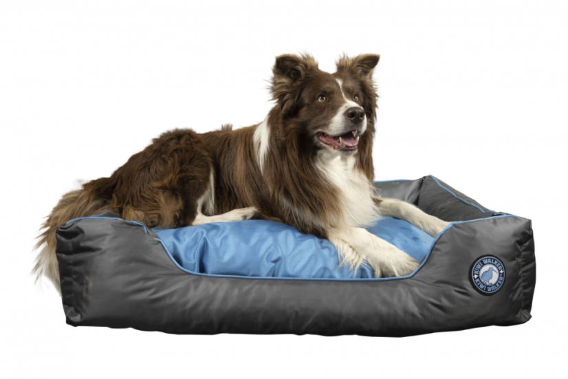 Pelech z ortopedické pěny - XXL - Modrá/Šedá