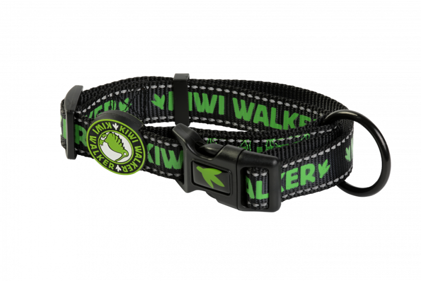 Obojek - L - Zelená