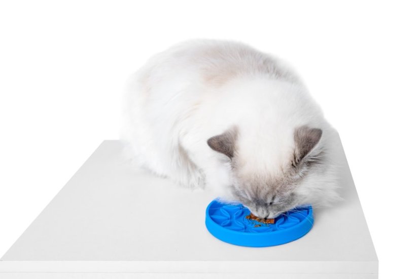 Protihltací miska a lízací podložka 2v1 – FLOWER MINI – Modrá