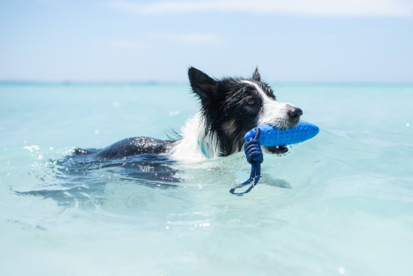 Létající a plovací zeppelin z TPR pěny - MINI  - Zelená