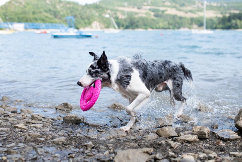 Létající a plovací frisbee z TPR pěny - MINI  - Růžová