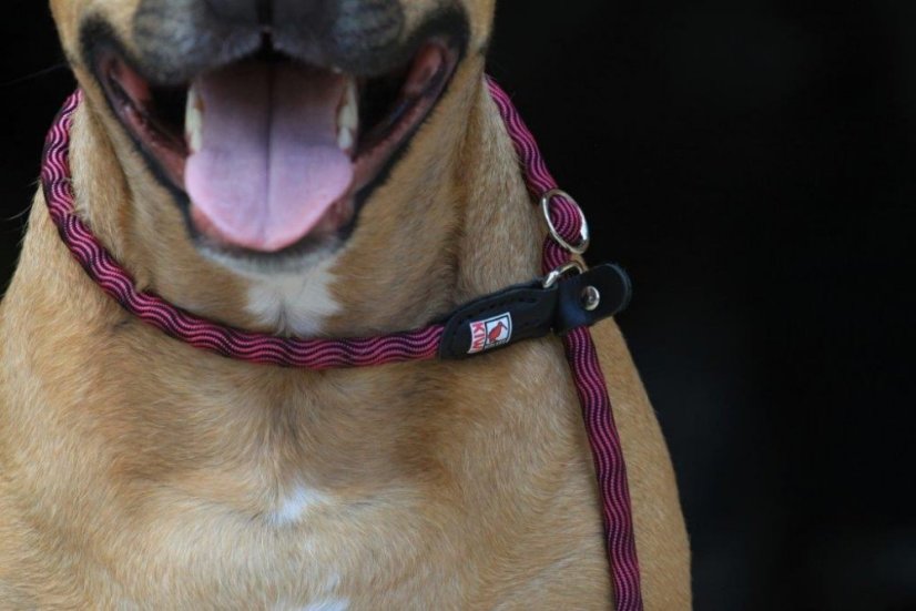 Provazové vodítko 2v1 - M - Růžová/Černá