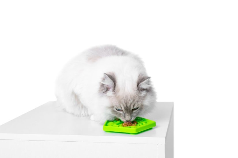 Lízací podložka – PENTA MINI – Zelená