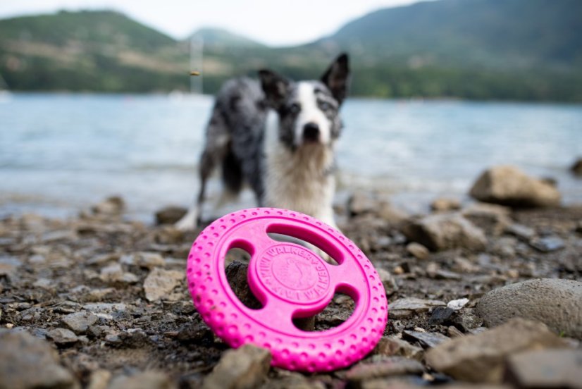 Plovací frisbee z TPR pěny MINI zelená 16,5 cm