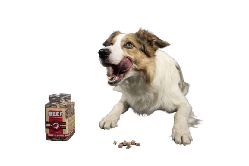 Mrazem sušený pamlsek husí játra 120 g