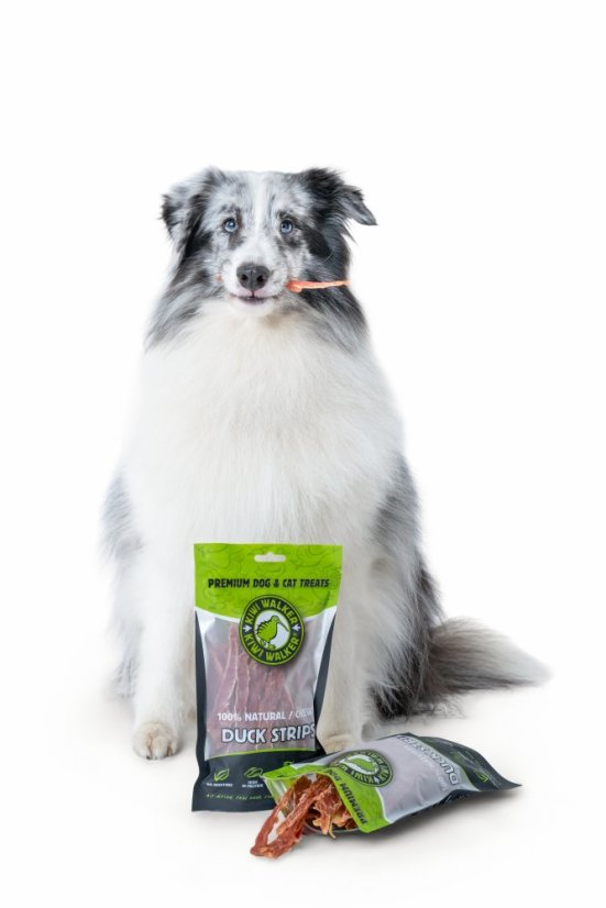 Vzduchem sušené kachní plátky 100g